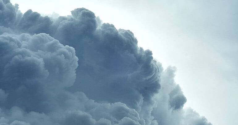 The seven faces in your meeting that will haunt you during your nightmares