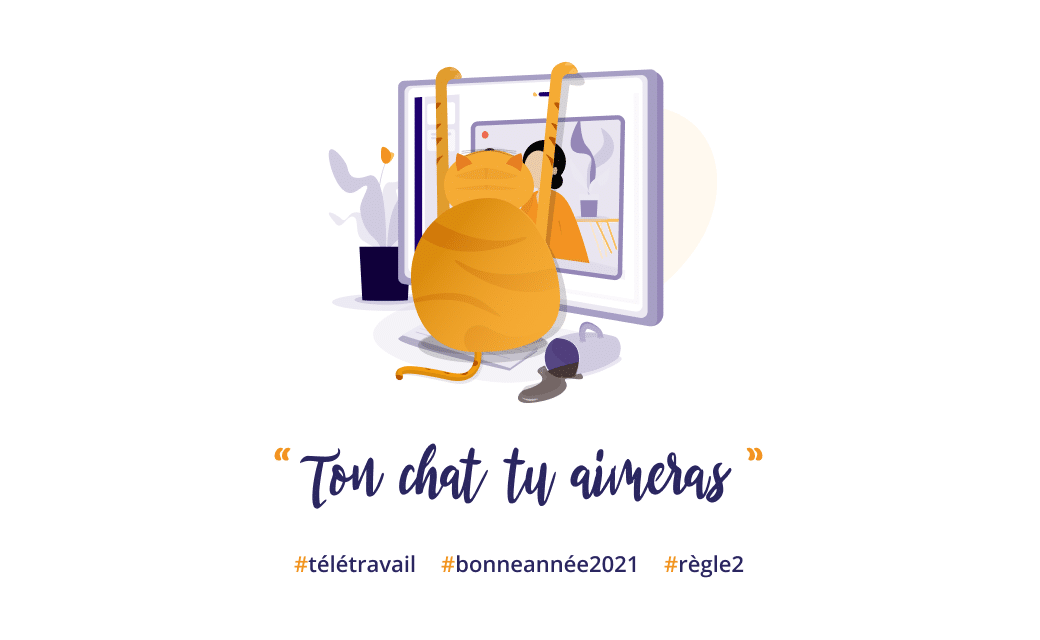 Image : kit de survie du télétravail 2021 - ton chat tu aimeras